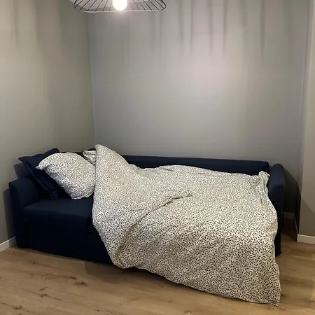 Coup De Coeur Grenoblois Apartment Grenoble